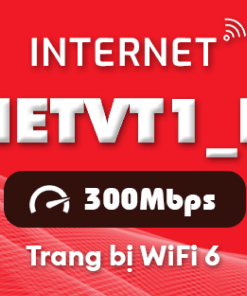 Gói cước internet Viettel NETVT1_H (300Mbps)