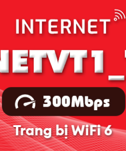 Gói cước internet Viettel NETVT1_T (300Mbps)